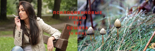 дмт Кукмор