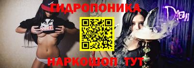 гашик Канаш