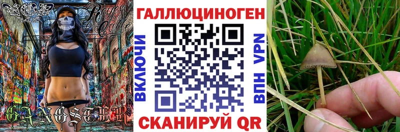 Псилоцибиновые грибы Psilocybe  ОМГ ОМГ как войти  Чапаевск  что такое наркотик 