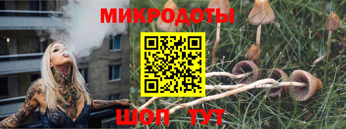 Чапаевск  наркотики  Вход с VPN  Галлюциногенные грибы MAGIC MUSHROOMS  Галлюциногенные грибы мицелий 
