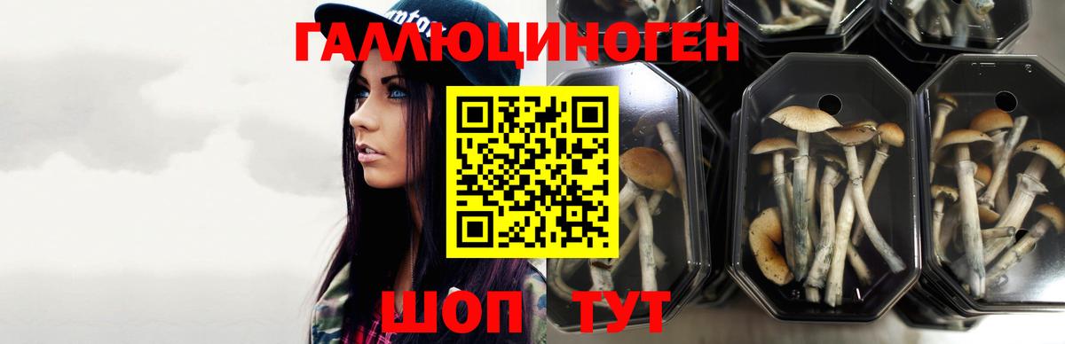 Псилоцибиновые грибы ЛСД  Чапаевск 